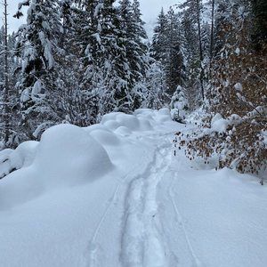 Meet your Posher, Becky
